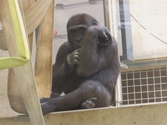 Bild_12